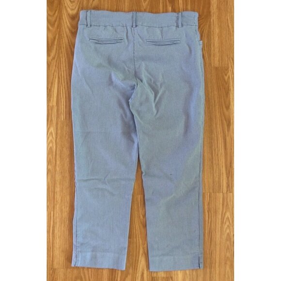 Hilary Radley Womens Blue Striped Cropped Pants Size 12 Rayon Blend - Picture 4 of 5